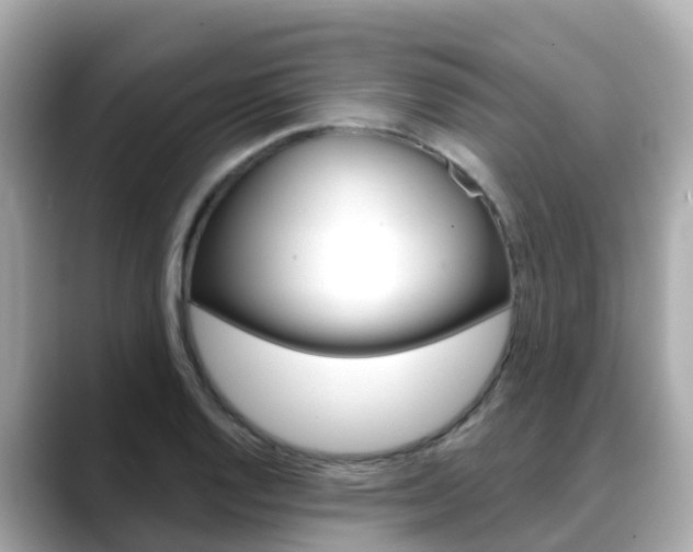 X0000088731128200705311110