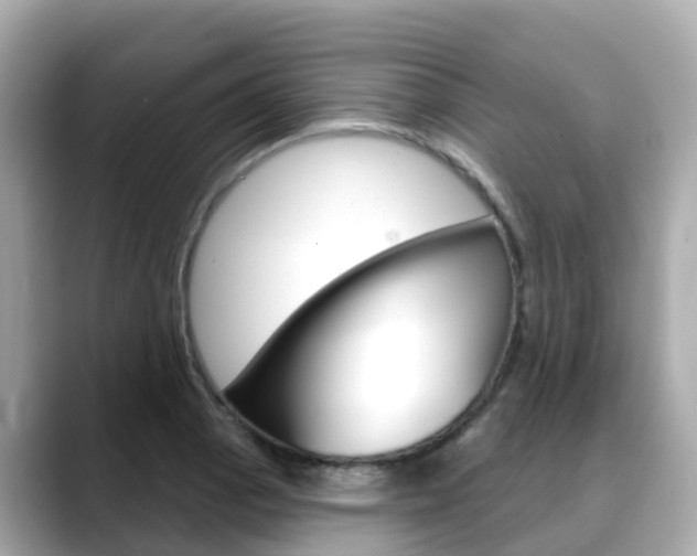 X0000088731129200705311110