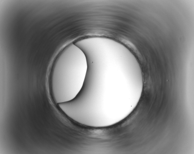X0000088731130200705311110