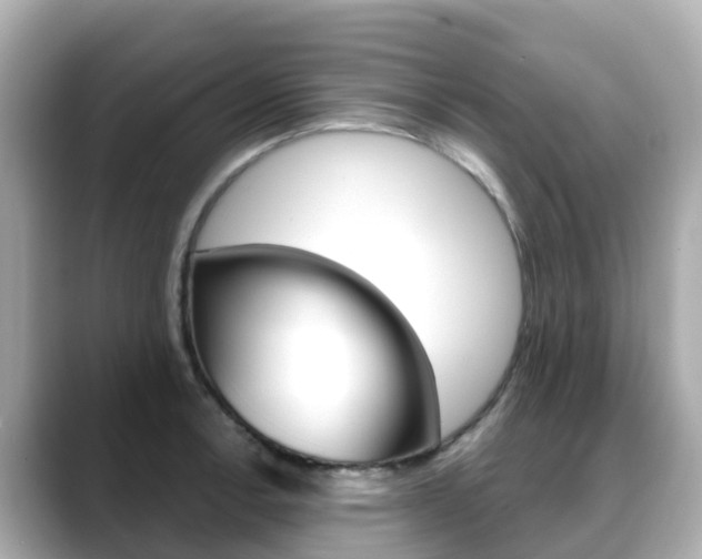 X0000088731138200705311110