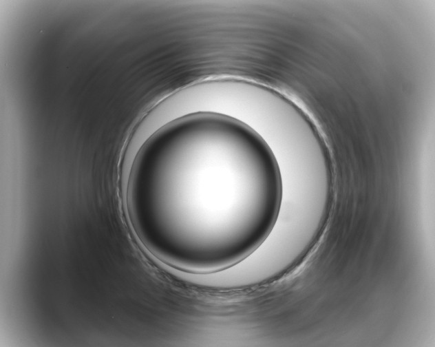 X0000088731145200705311110