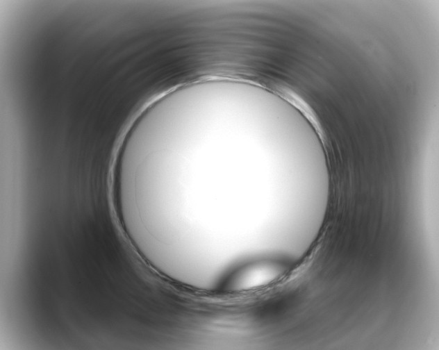 X0000088731146200705311110