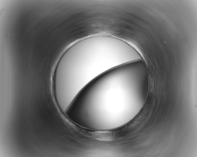 X0000088731151200705311110