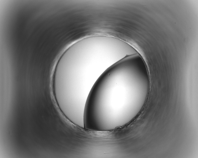 X0000088731152200705311111