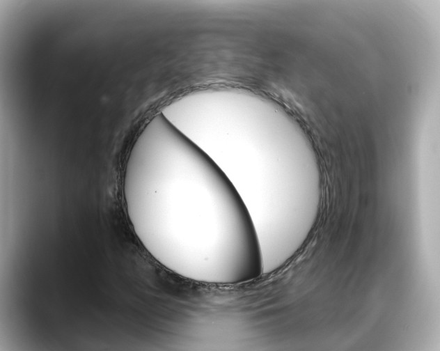 X0000088731158200705311110