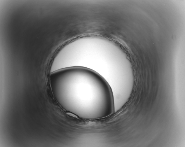 X0000088731160200705311110