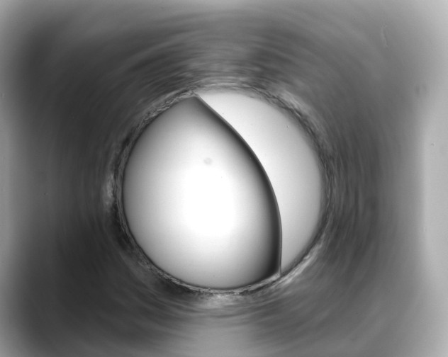 X0000088731161200705311110