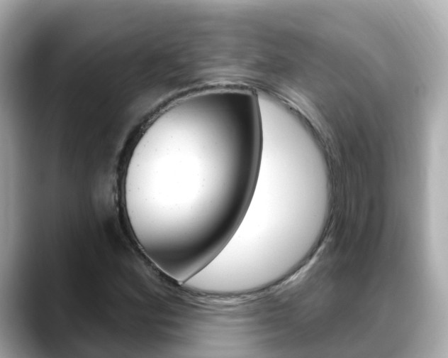X0000088731164200705311110