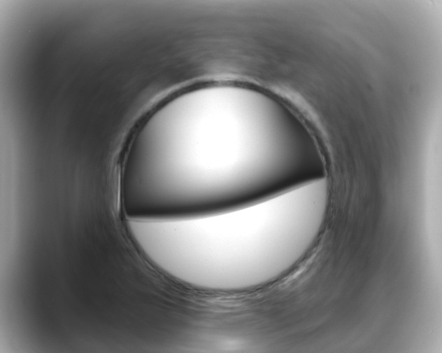 X0000088731175200705311110