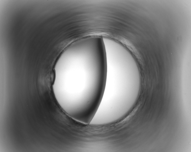 X0000088731177200705311110