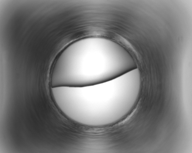 X0000088731178200705311110