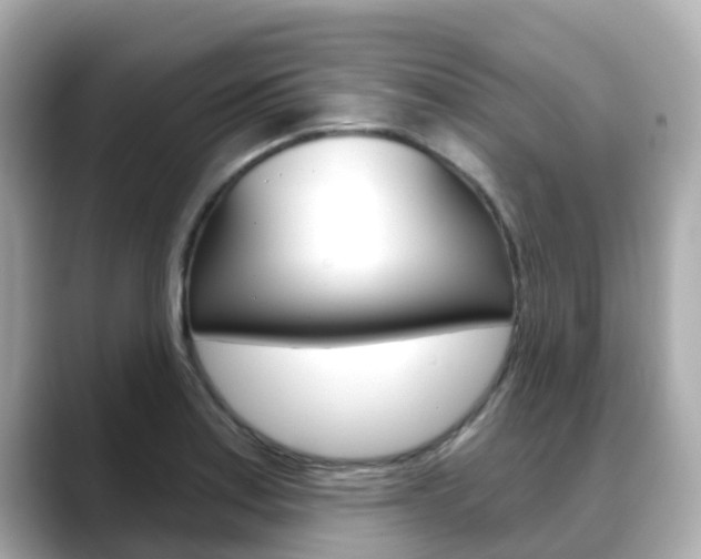 X0000088731179200705311110
