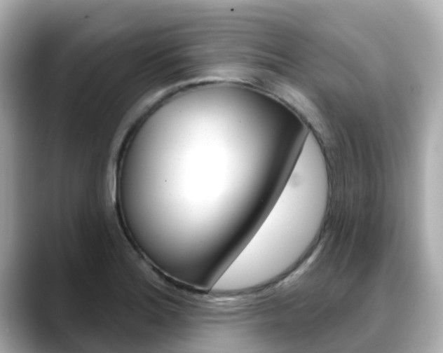 X0000088731180200705311110