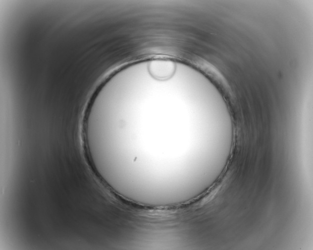X0000088731182200705311110