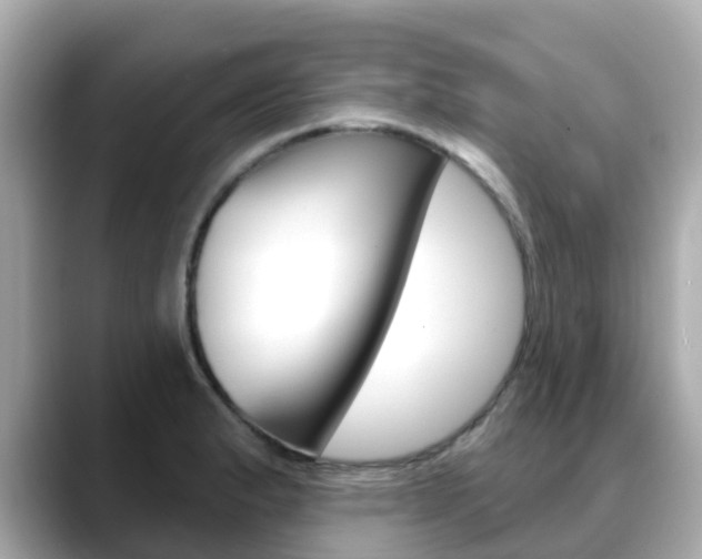 X0000088731183200705311110