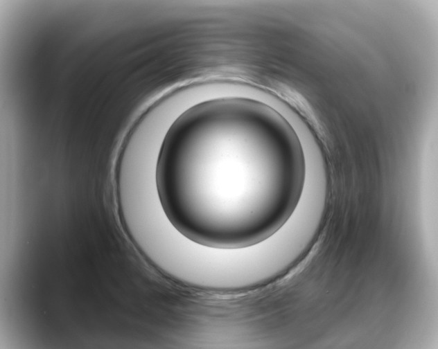 X0000088731184200705311110