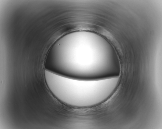 X0000088731185200705311110