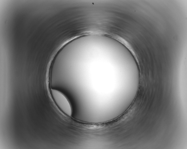 X0000088731195200705311109