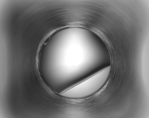 X0000088731196200705311109
