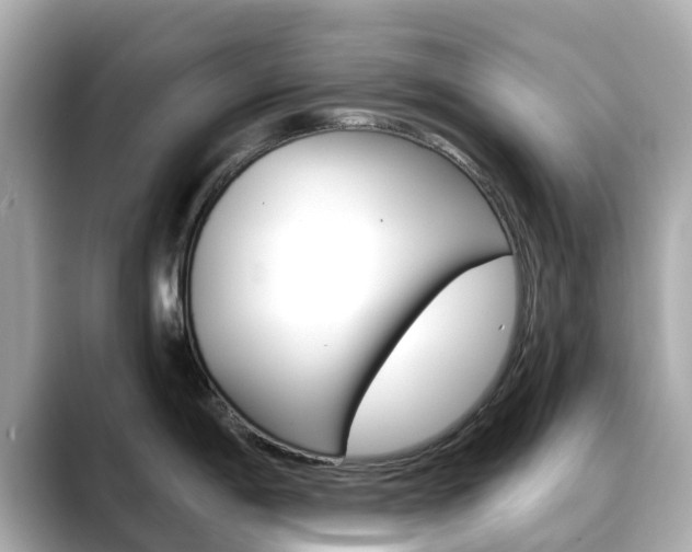 X0000088731198200705311109