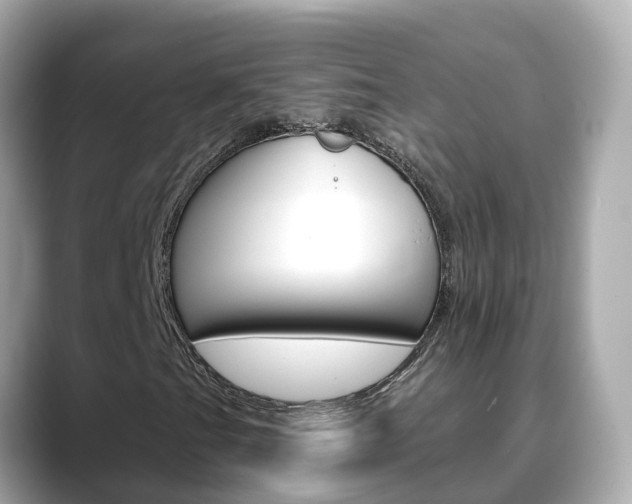X0000088731201200705311109