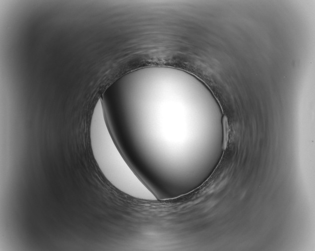 X0000088731202200705311109