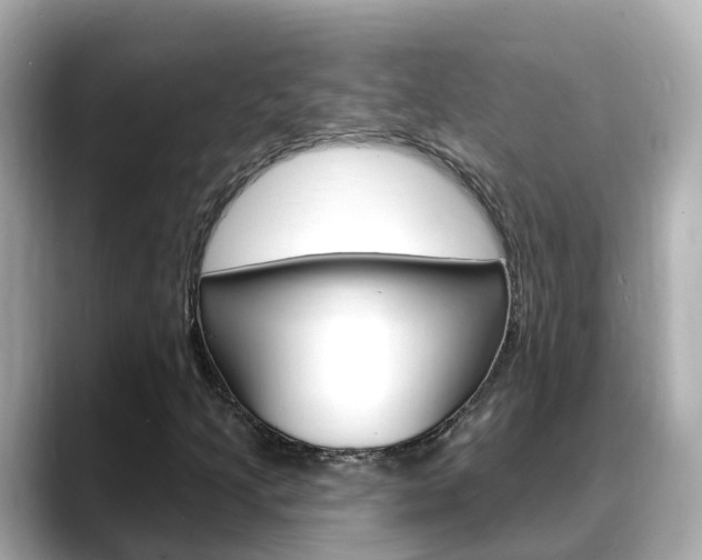 X0000088731205200705311109