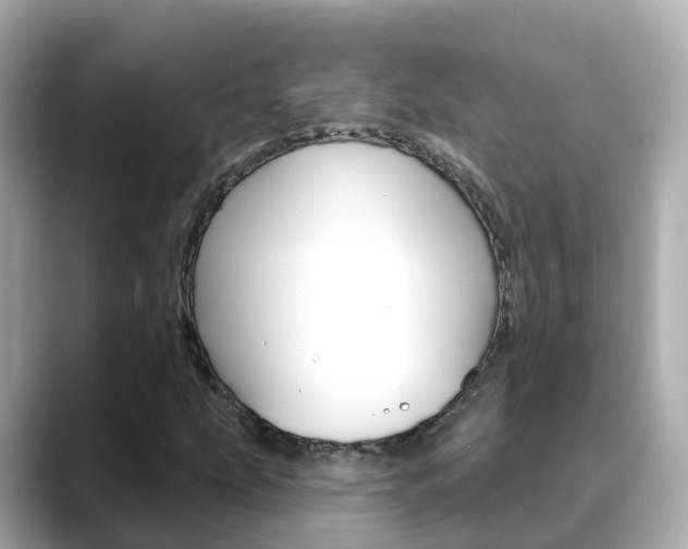 X0000088731207200705311109
