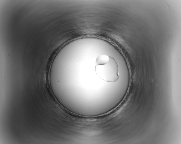 X0000088731209200705311109