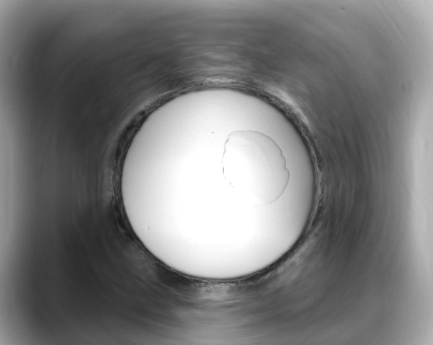 X0000088731211200705311109