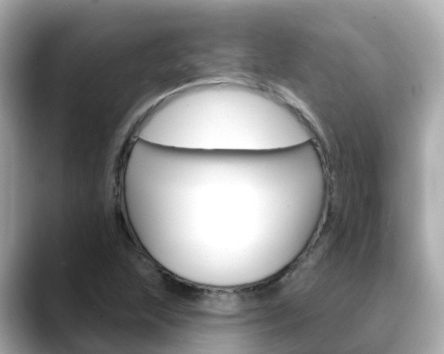 X0000088731215200705311109