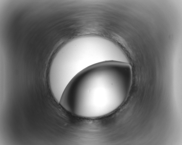 X0000088731218200705311109