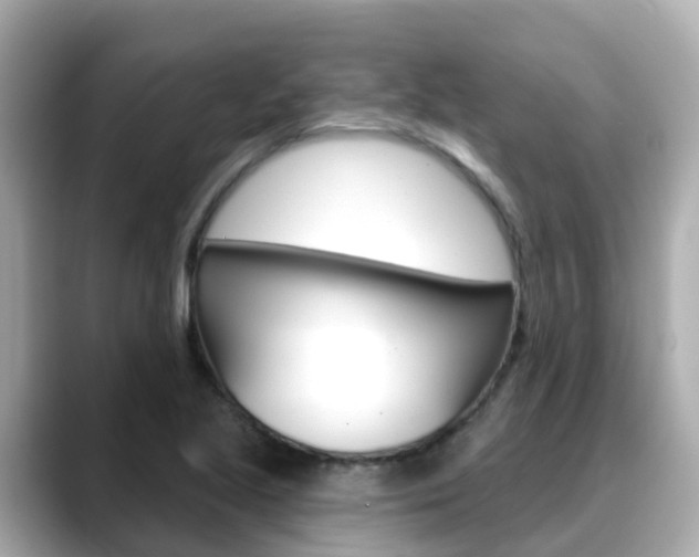 X0000088731221200705311109