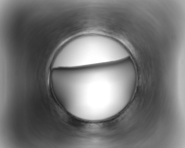 X0000088731224200705311109