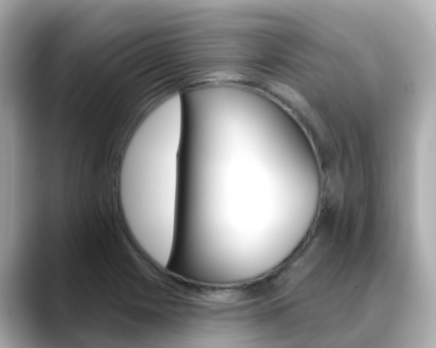 X0000088731225200705311109