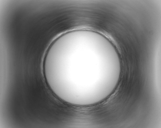 X0000088731230200705311109