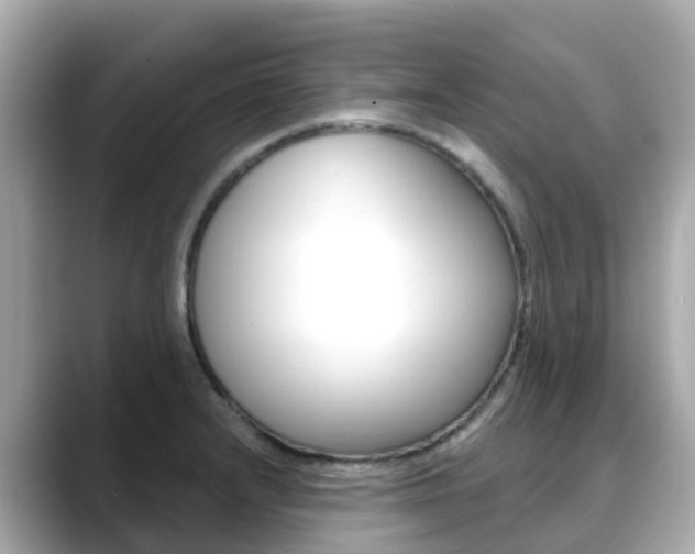 X0000088731232200705311109