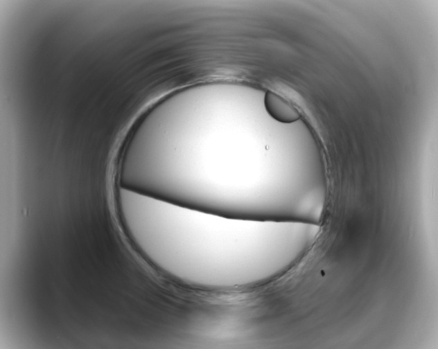 X0000088731235200705311109
