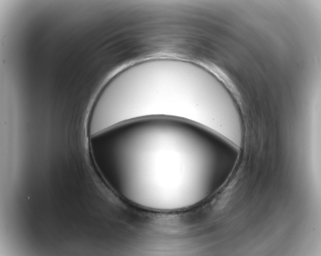 X0000088731238200705311109