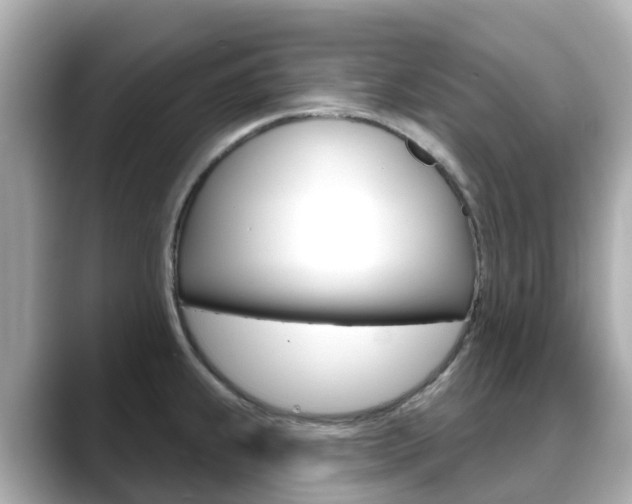 X0000088731239200705311109