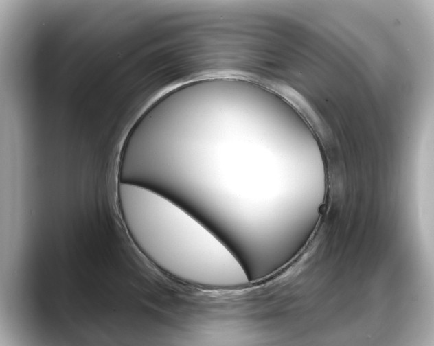 X0000088731244200705311109