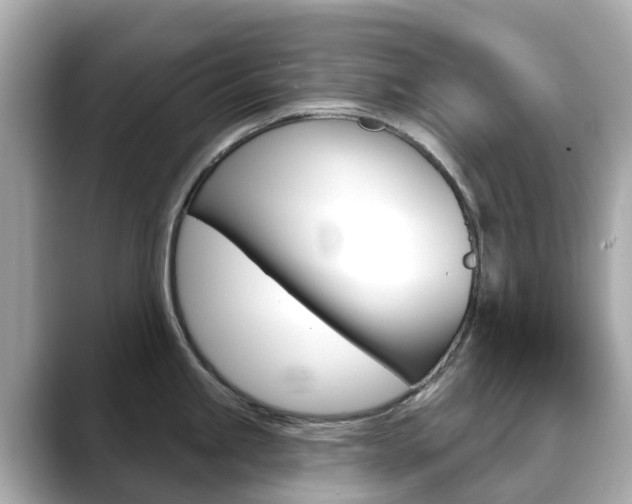 X0000088731245200705311109
