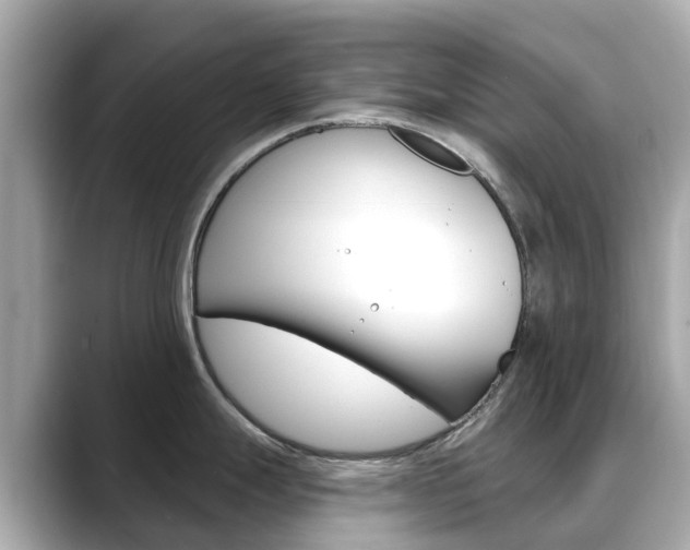X0000088731247200705311109