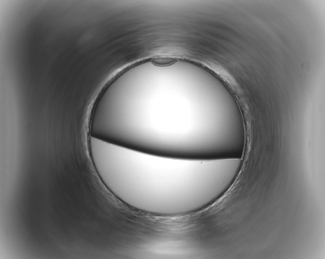 X0000088731248200705311109