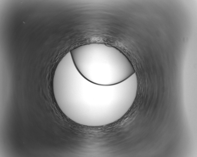 X0000088731249200705311109