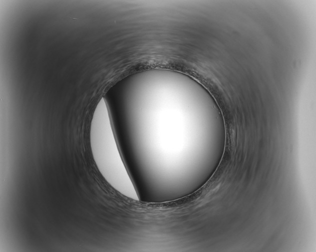 X0000088731250200705311109