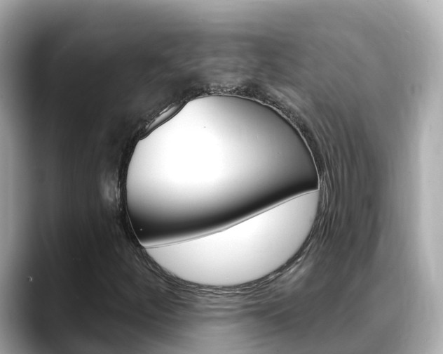 X0000088731252200705311109