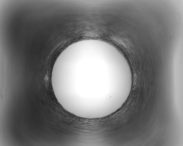 X0000088731254200705311109