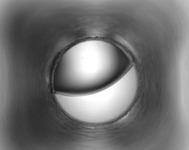 X0000088731261200705311109