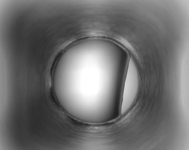 X0000088731269200705311109